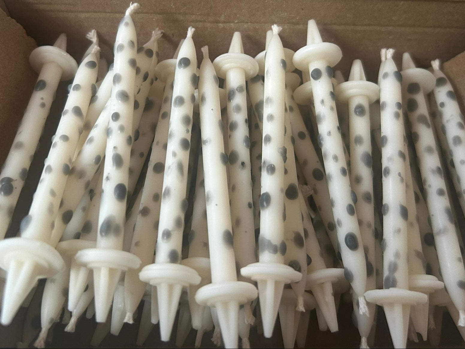 Collection capsule dalmatien - Boite de 10 bougies d&