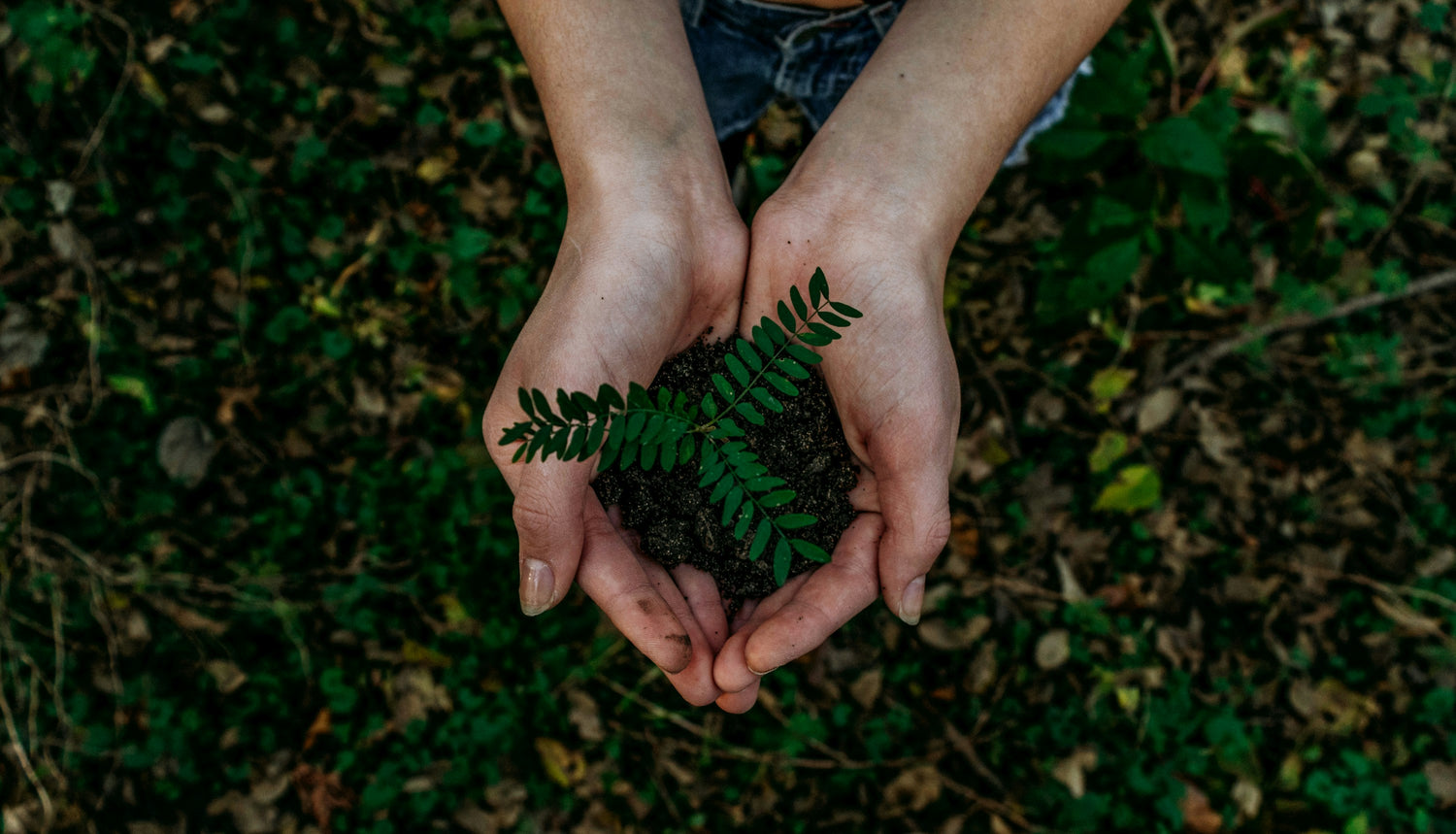 Consommation responsable sans plastique - la célébrette